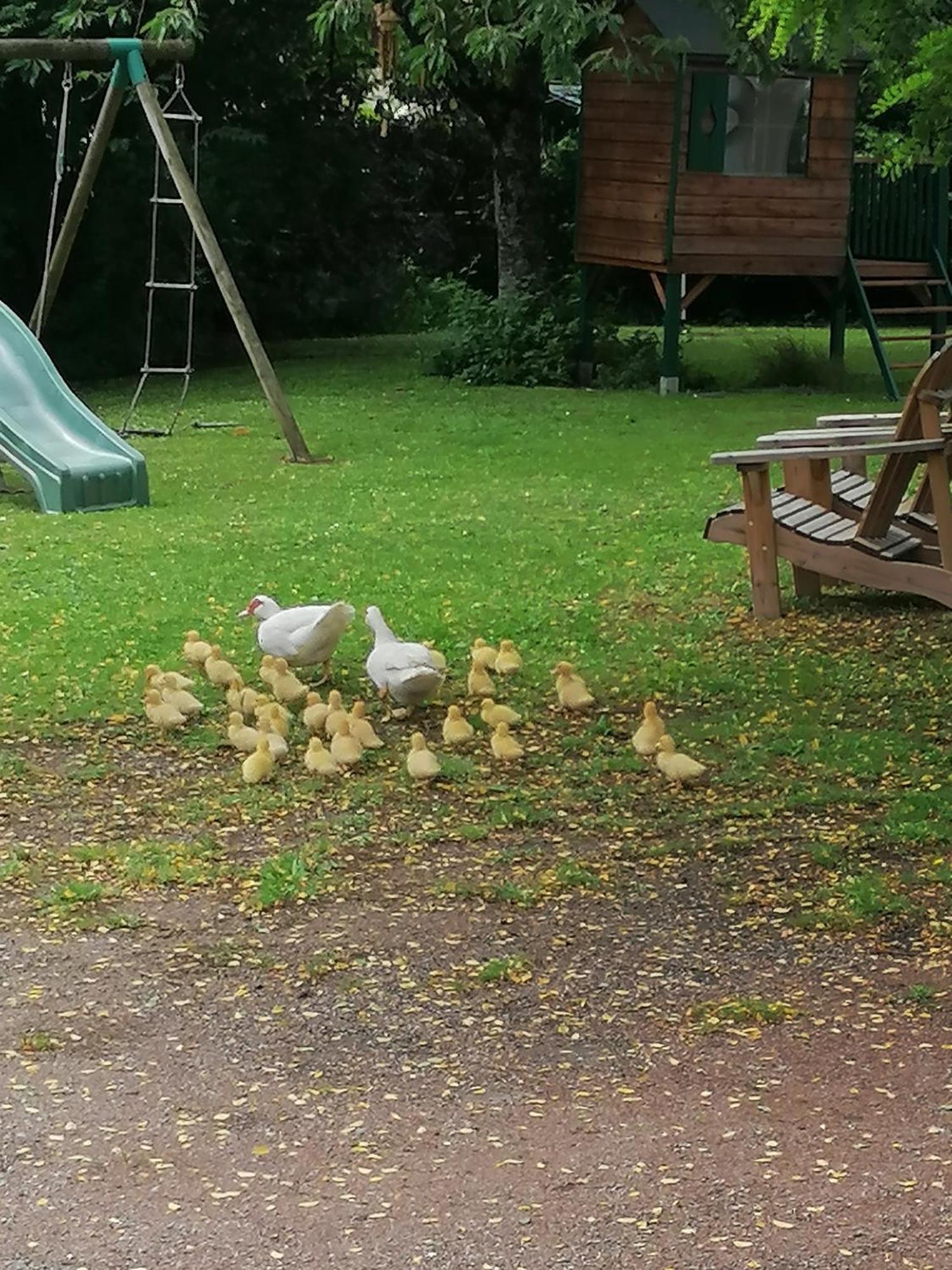 Le Relais De Chavagne Holiday home *